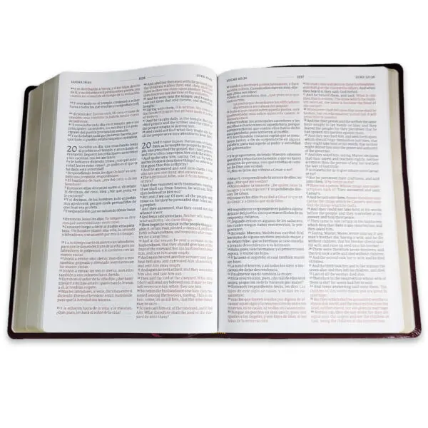 Biblia Bilingüe RV1960 - KJV Letra Grande Borgoña - Imagen 5
