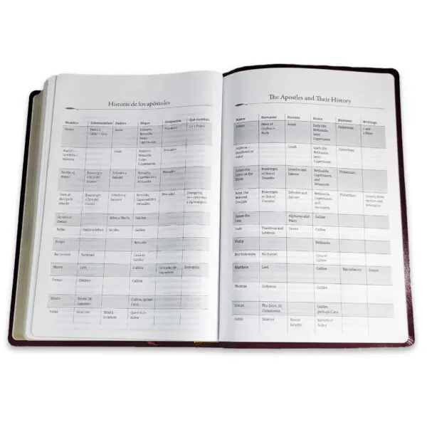 Biblia Bilingüe RV1960 - KJV Letra Grande Borgoña - Imagen 2