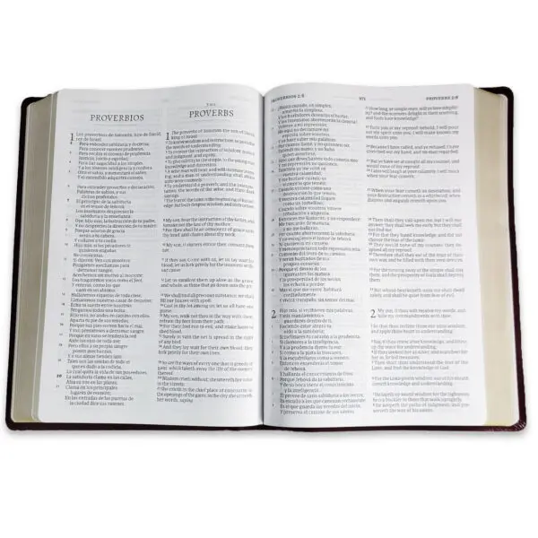 Biblia Bilingüe RV1960 - KJV Letra Grande Borgoña - Imagen 3
