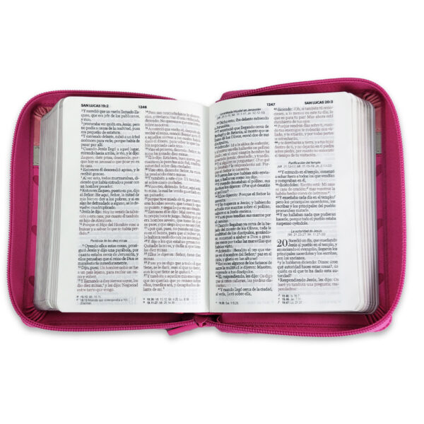 Biblia RVR60 025 Fucsia/Blanco/Rosa con Corazones - Imagen 4