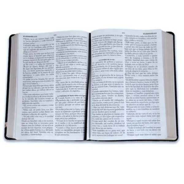 Biblia Letra Gigante 15 puntos RV1960  León y Cordero - Imagen 4