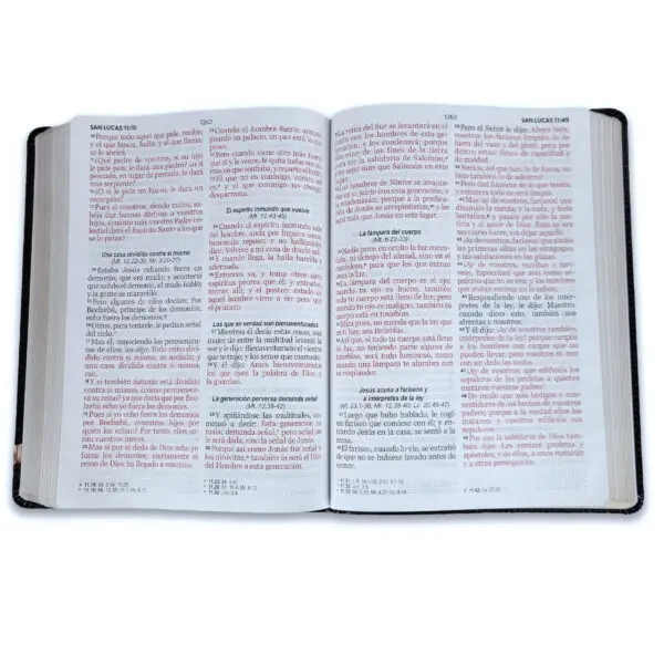 Biblia Letra Gigante 15 puntos RV1960  León y Cordero - Imagen 5