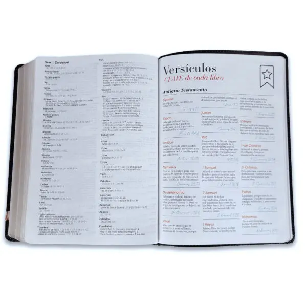 Biblia Letra Gigante 15 puntos RV1960  León y Cordero - Imagen 3