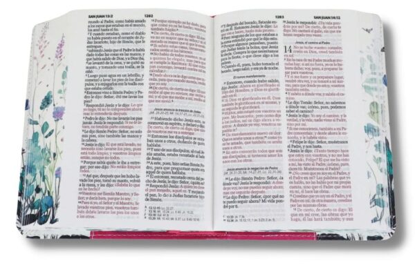 Biblia RVR60 025c CP PJR Renovación Fucsia