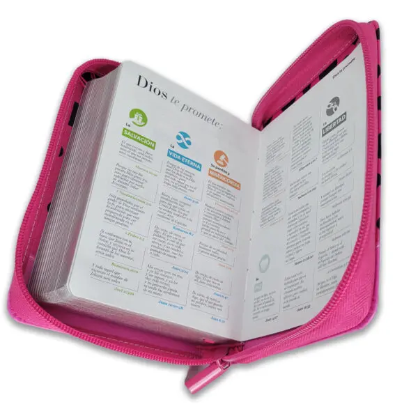 Biblia RVR60/ Fucsia/ Mariquita Con Topos - Imagen 2