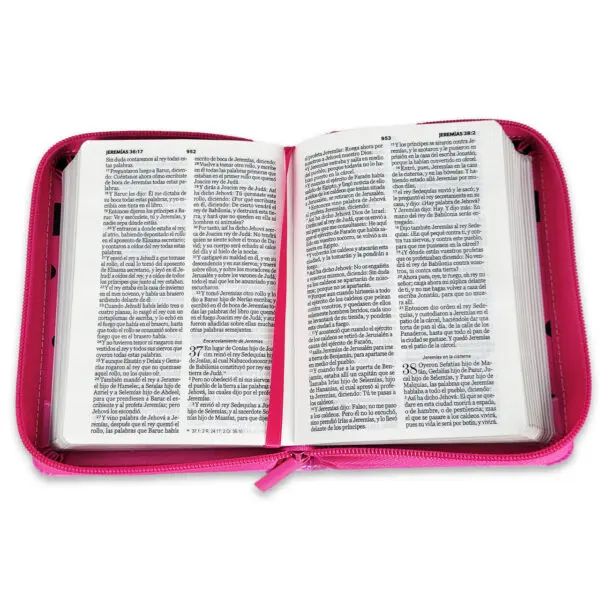 Biblia RVR60/ Fucsia/ Mariquita Con Topos - Imagen 4
