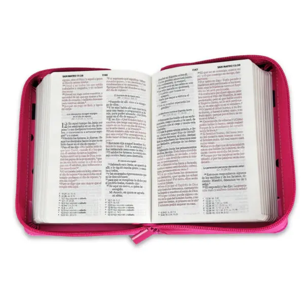 Biblia RVR60/ Fucsia/ Mariquita Con Topos - Imagen 3
