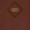 Biblia RVR60 Tamaño Manual Letra Grande Cafe