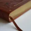 Biblia Ingles KJV Café Índice Letra Gigante - Imagen 3