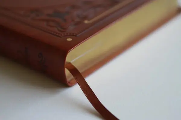 Biblia Ingles KJV Café Índice Letra Gigante - Imagen 3