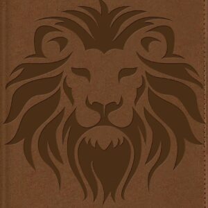 Biblia Visual De Estudio Para Niños NBLA/Café
