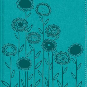 Biblia Visual De Estudio Para Niños NBLA/ Imitación/ Turquesa