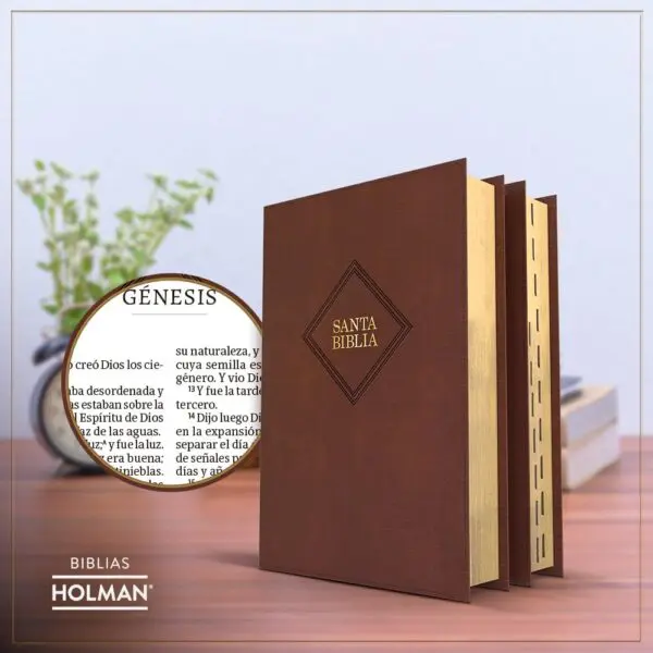 Biblia RVR60 Tamaño Manual Letra Grande Cafe - Imagen 3