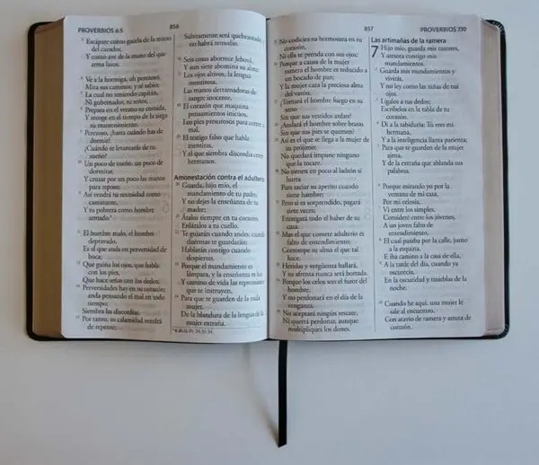 Biblia RVR60 Letra Súper Gigante Negro - Imagen 2
