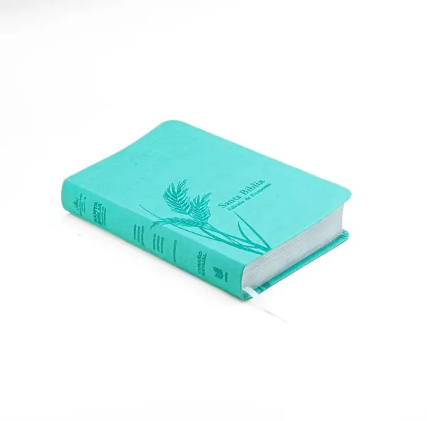 Biblia Promesas RV60 / Tamaño Manual / Letra Grande / Menta - Imagen 2