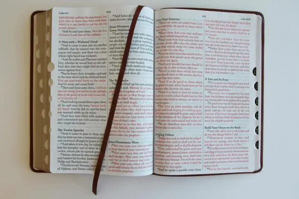 Biblia Ingles KJV Café Índice Letra Gigante - Imagen 5