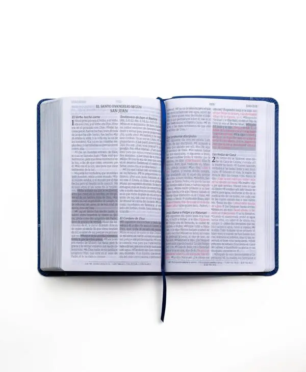 Biblia RVR60 Letra Grande / Tamaño Manual Azul - Imagen 2