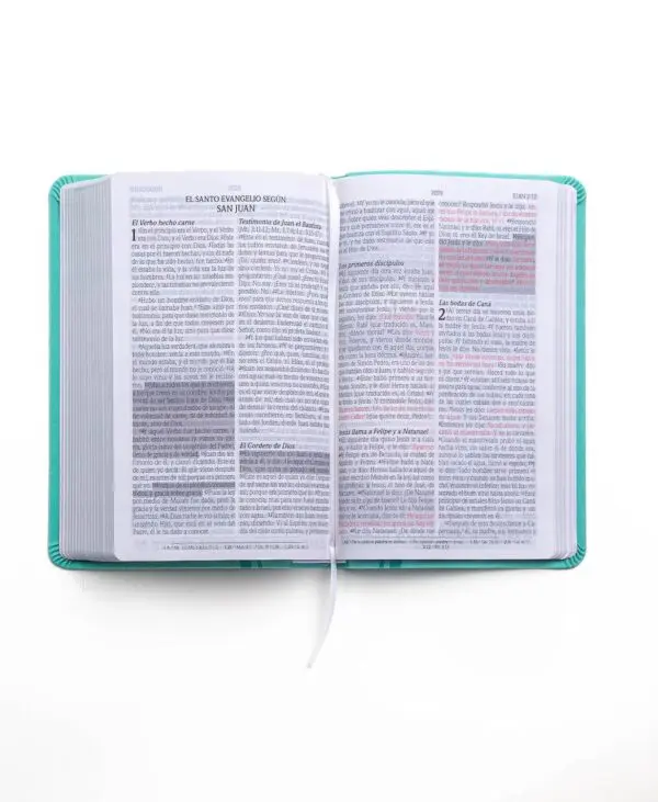 Biblia Promesas RV60 / Tamaño Manual / Letra Grande / Menta - Imagen 3