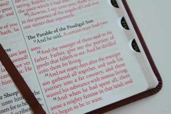 Biblia Ingles KJV Café Índice Letra Gigante - Imagen 6