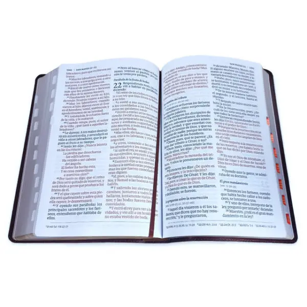 Biblia Letra Súper Gigante RV1960 Café - Imagen 4