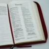 Biblia RVR60 Cuero Italiano Vino - Imagen 2