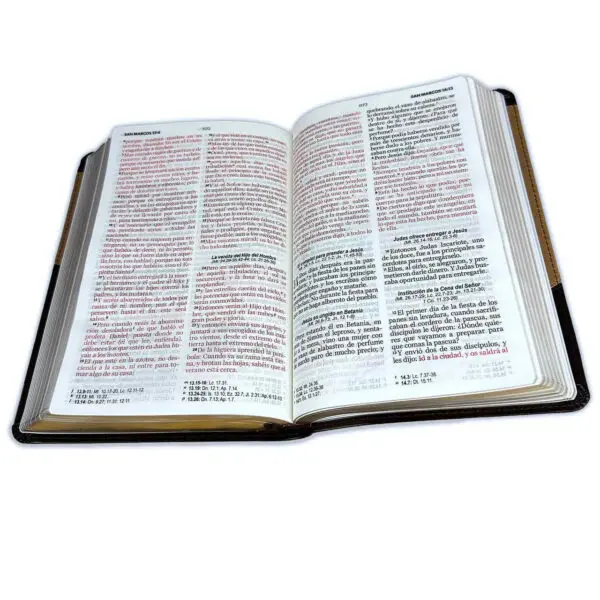 Biblia/RVR60/Manual/Bitono/Café Claro-Café Oscuro - Imagen 3