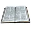 Biblia/RVR60/Manual/Bitono/Café Claro-Café Oscuro - Imagen 2