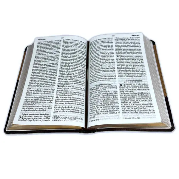 Biblia/RVR60/Manual/Bitono/Café Claro-Café Oscuro - Imagen 2
