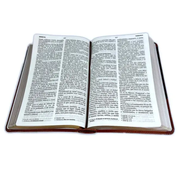 Biblia Letra Grande 12 puntos RV60 Duotono Chocolate y Café - Imagen 2