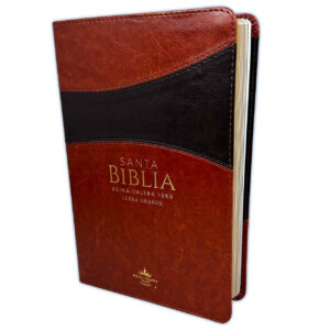 Biblia Letra Grande 12 puntos RV60 Duotono Chocolate y Café