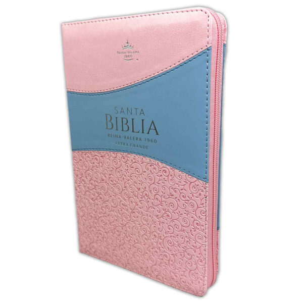 Biblia Letra Grande 12 puntos RV1960 Rosado y Celeste