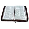 Biblia Letra Grande 12 puntos RV1960  Azul/Gris/Marrón - Imagen 3