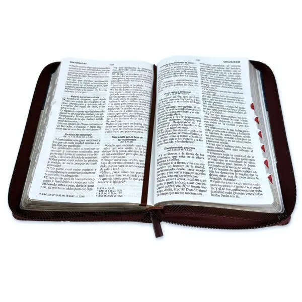Biblia Letra Grande 12 puntos RV1960  Azul/Gris/Marrón - Imagen 3