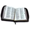 Biblia de Bolsillo Con Cierre RV1960 vino/café - Imagen 2