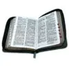 Biblia de Bolsillo RV1960 Verde/Café - Imagen 3
