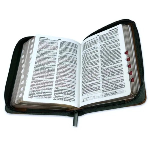 Biblia de Bolsillo RV1960 Verde/Café - Imagen 3