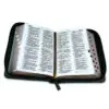 Biblia de Bolsillo RV1960 Verde/Café - Imagen 2