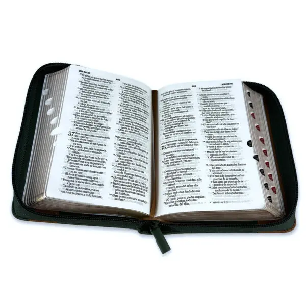 Biblia de Bolsillo RV1960 Verde/Café - Imagen 2