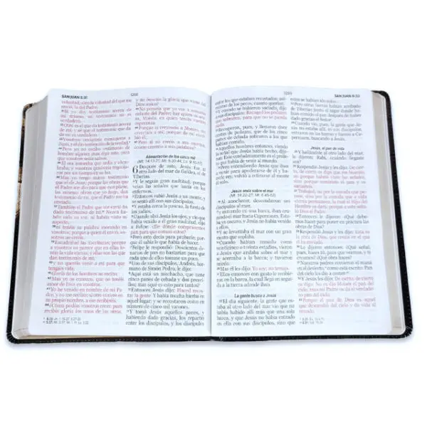Biblia Letra Gigante 15 puntos RV1960  Barco Sobre Libro - Imagen 6