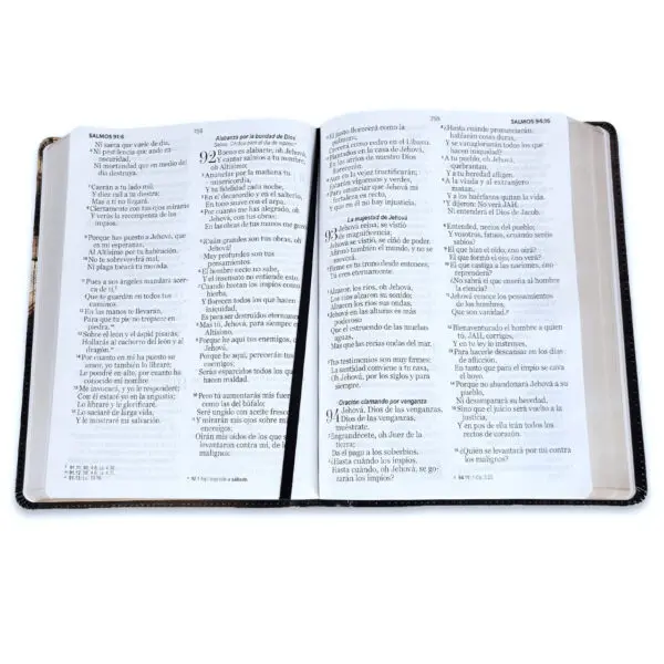 Biblia Letra Gigante 15 puntos RV1960  Barco Sobre Libro - Imagen 5