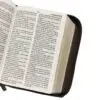 Biblia Rv1960 Compacta Letra 12 Puntos Mokka - Imagen 2