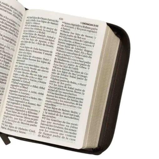 Biblia Rv1960 Compacta Letra 12 Puntos Mokka - Imagen 2