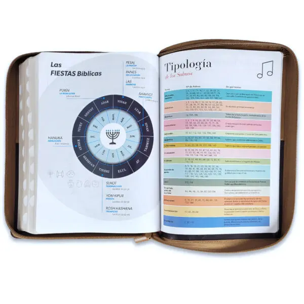 Biblia Letra Gigante 15 puntos RV1960 café - Imagen 2