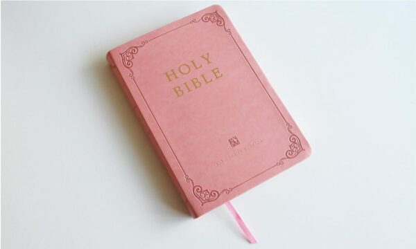 Biblia Ingles KJV Rosada Indice Letra Gigante