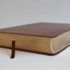 Biblia RVR/60 Marrón Letra Super Gigante
