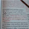 Biblia RVR/60 Marrón Letra Super Gigante