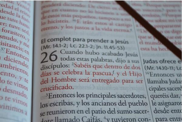 Biblia RVR/60 Marrón Letra Super Gigante