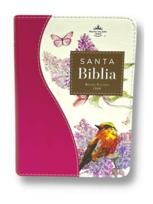 Biblia RVR60 025c CP PJR Renovación Fucsia