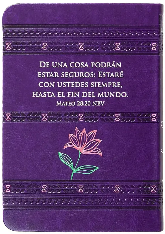 Dios Esta Conmigo Siempre : 365 Dia Devocionario - Imagen 5