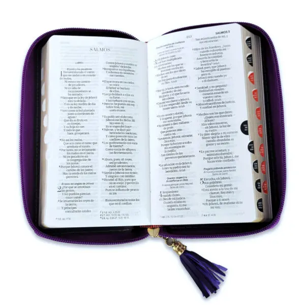 Biblia RVR60 Chequera Lila-Gris/ Cierre Índice - Imagen 4